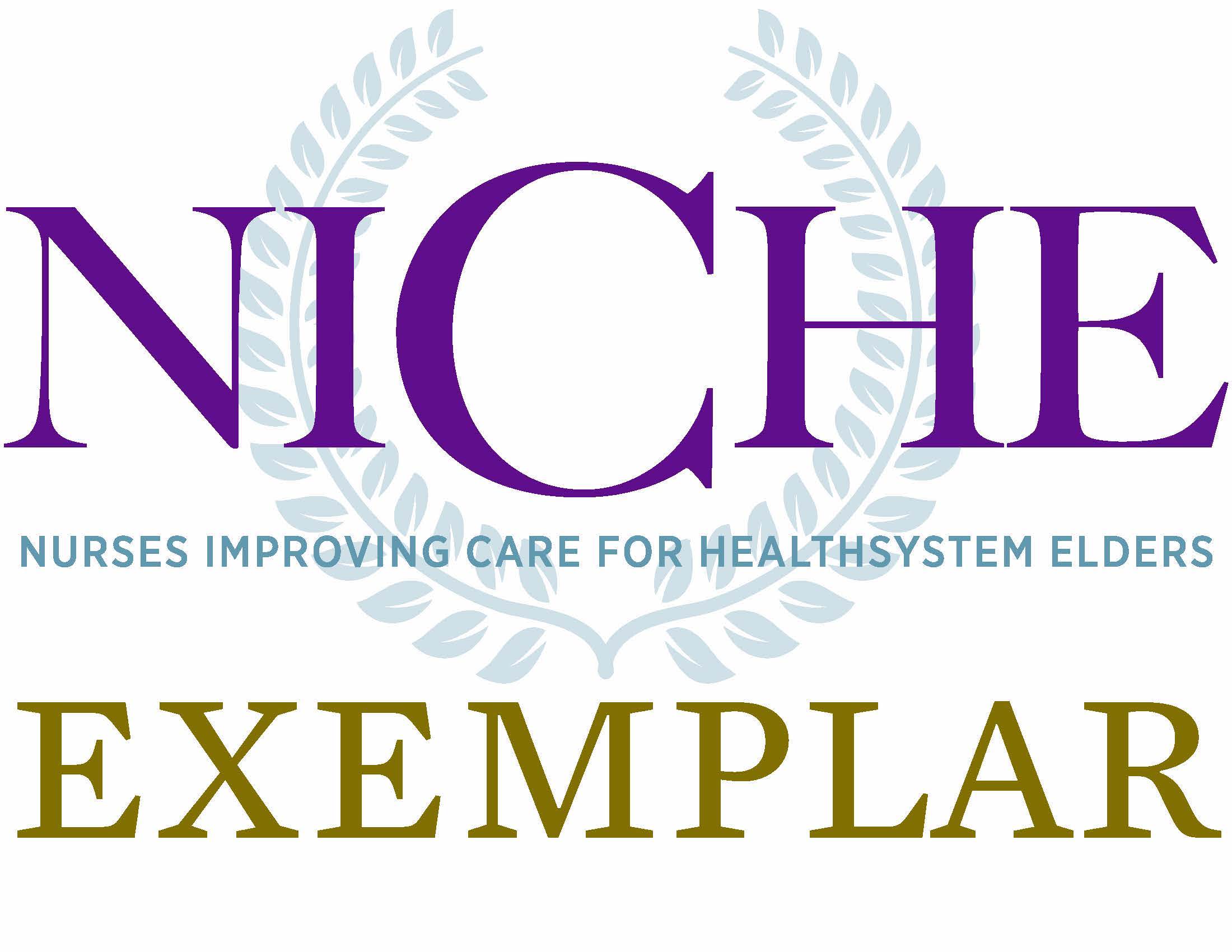 NICHE Exemplar - Nurses Improving Care for Healthsystem Elders